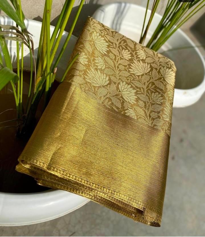 Nita Ambani inspired Saree